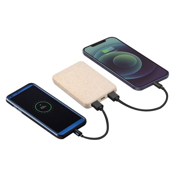 Eastsky Power Bank